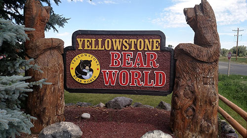 Yellowstone Bear World